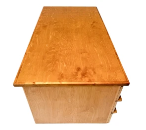 Mid-Century Modern EB04 Desk by Cees Braakman for Pastoe, 1950s